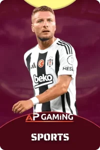 ap gaming